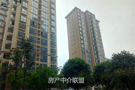 解放碑一线看江住宅瞭望渝中半岛洪崖洞夜